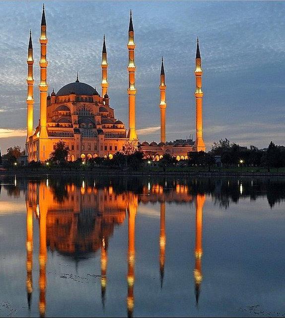 adana Web Tasarım
