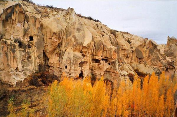 aksaray Laravel Uzmanı