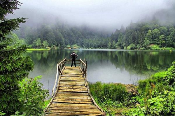 artvin Web Tasarım