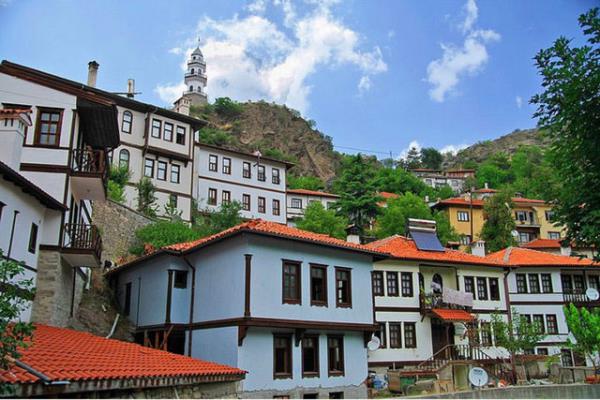 bolu Web Tasarım