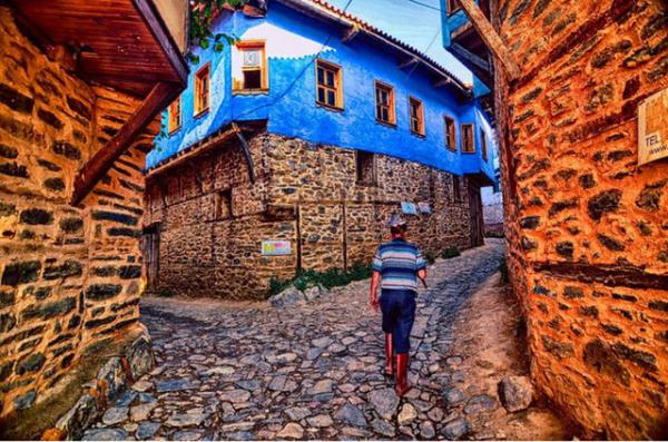 bursa Web Tasarım