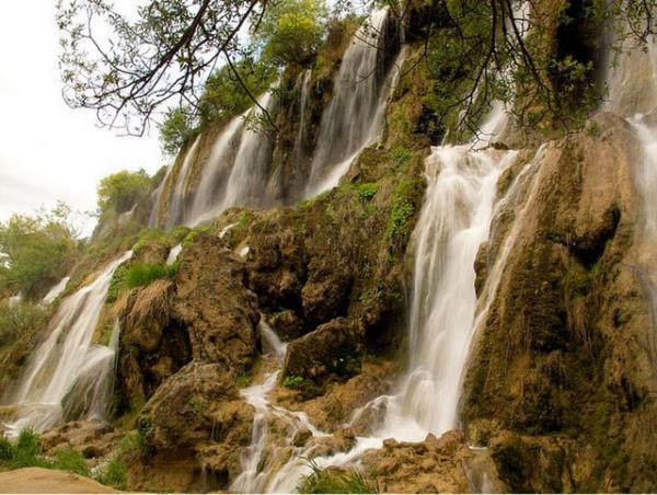 erzincan Web Tasarım