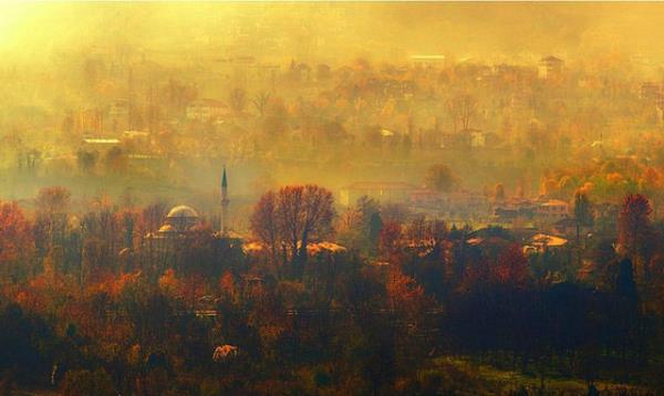 kocaeli Web Tasarım