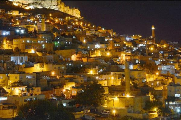 mardin Web Tasarım