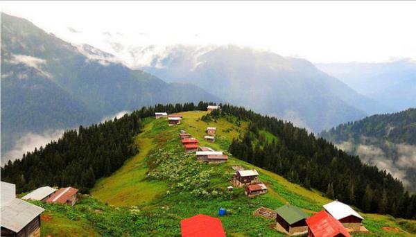 rize Web Tasarım