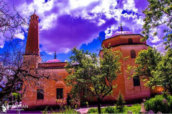 siirt Web Tasarım